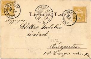 1900 Aranyosmarót, Zlaté Moravce; vármegyeház. Brunczlik I. kiadása / county hall