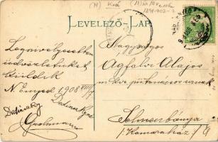 1908 Nagyenyed, Aiud; vármegyeház. Földes Ede kiadása / county hall (EK)