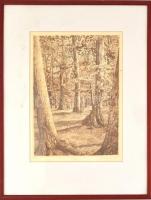 Scultéty Éva (1917-2001): Ősz, rézkarc, papír, jelzett, üvegezett keretben, paszpartu foltos, 33×24 cm