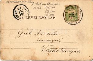 1904 Székelyudvarhely, Odorheiu Secuiesc; megyeház, Bagó Gyula üzlete. Haáb és Heitz kiadása / count...