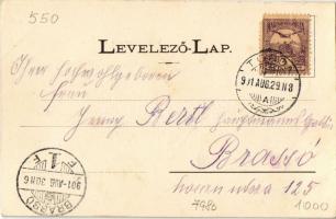 1901 Torda, Turda; Vármegyeház, templom / county hall, church