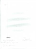 cca 1985 Menesdorfer Lajos (1941-2005) budapesti fotóművész hagyatékából, pecséttel jelzett, felirat...