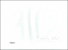 cca 1981 Menesdorfer Lajos (1941-2005) budapesti fotóművész hagyatékából, pecséttel jelzett, felirat...