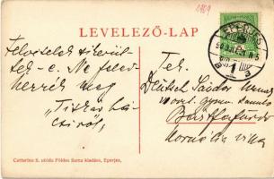 1909 Eperjes, Presov; Vármegyeház. Cattarino S. utóda  Földes Samu kiadása / county hall