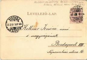 1899 Pozsony, Pressburg, Bratislava; megyeház, lovaskocsik / Komitathaus / county hall, horse carts ...