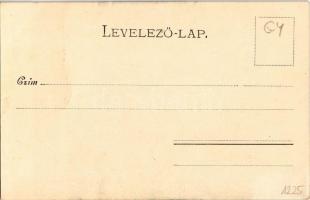 Segesvár, Sighisoara; megyeház / county hall