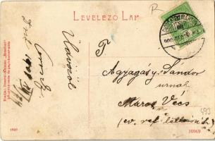 1908 Dicsőszentmárton, Tarnaveni, Diciosanmartin; megyeház. W.L. (?) Dosztál Kálmán "Erzsébet&q...