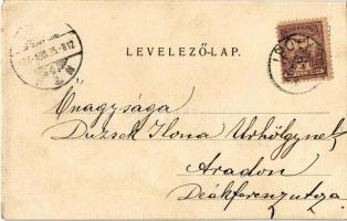 1901 Ipolyság, Sahy; vármegyeház / county hall (EM)