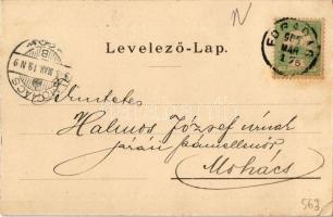 1905 Fogaras, Fagaras; megyeház, polgári iskola. Fleissig Jakab kiadása / county hall, school (EK)