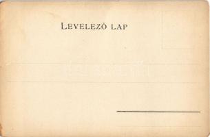 Békés vármegye térképe. Kiadja Károlyi Gy. / Map of Békés county (szakadás / tear)