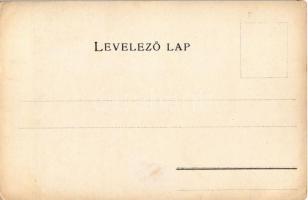 Bereg vármegye térképe. Kiadja Károlyi Gy. / Map of Bereg county (EK)