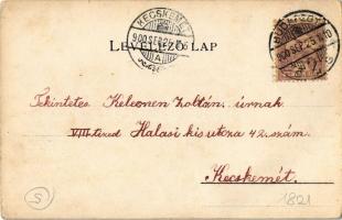 1900 Bács-Bodrog vármegye térképe. Kiadja Károlyi Gy. / Map of Backo-Bodroska county (EK)