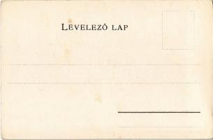 Ugocsa vármegye térképe. Kiadja Károlyi Gy. / Map of Ugocea county