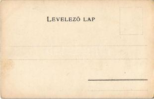 Sáros vármegye térképe. Kiadja Károlyi Gy. / Map of Saris county