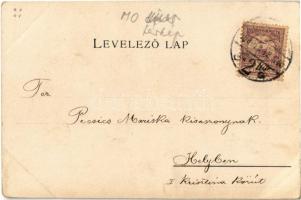 Pest-Pilis-Solt-Kis-Kun vármegye térképe. Kiadja Károlyi Gy. / Map of Pest-Pilis-Solt-Kis-Kun county...