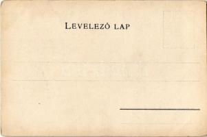 Nyitra vármegye térképe. Kiadja Károlyi Gy. / Map of Nitra county