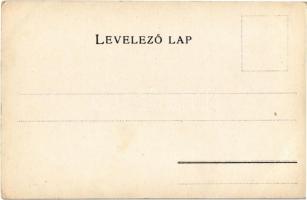 Nagy-Küküllő vármegye térképe. Kiadja Károlyi Gy. / Map of Tarnava-Mare county