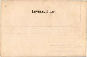 Maros-Torda vármegye térképe. Kiadja Károlyi Gy. / Map of Maros-Turda county