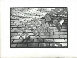 cca 1978 Móricz István: Téglakerítés, feliratozott, vintage fotóművészeti alkotás, a magyar fotográfia dokumentalista korszakából, a sarkán törés, 30x39,5 cm