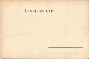 Kolozs vármegye térképe. Kiadja Károlyi Gy. / Map of Cluj county (EB)