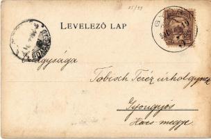 1901 Heves vármegye térképe. Kiadja Károlyi Gy. / Map of Heves county