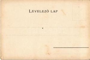 Hajdú vármegye térképe. Kiadja Károlyi Gy. / Map of Hajdú county (lyukasztott / punched hole)