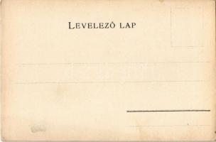 Fogaras vármegye térképe. Kiadja Károlyi Gy. / Map of Fagaras county