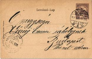 1901 Pozsony, Pressburg, Bratislava; vár. Címeres szecessziós keret, Holderer Gusztáv kiadása / cast...