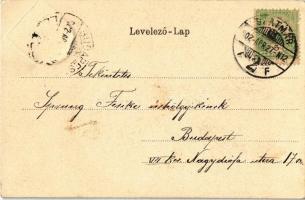 1902 Szatmárnémeti, Szatmár, Satu Mare; Római katolikus székesegyház. Címeres szecessziós keret, Rei...