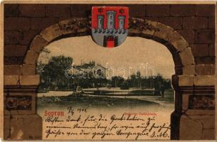 1902 Sopron, Deák tér. Címeres szecessziós keret, Blum N. kiadása / Art Nouveau, coat of arms, litho