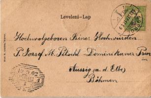 1902 Sopron, Deák tér. Címeres szecessziós keret, Blum N. kiadása / Art Nouveau, coat of arms, litho