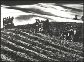 cca 1968 Gebhardt György (1910-1993) budapesti fotóművész hagyatékából feliratozott vintage fotóművészeti alkotás, a magyar fotográfia szocreál korszakából (Borsóaratás), 29x39,5 cm