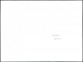 cca 1971 Gebhardt György (1910-1993) budapesti fotóművész hagyatékából feliratozott, aláírt, vintage...