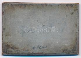 1951. "Előre Tihany Csillagtúra" ezüstözött Br emlékplakett. Szign.: Fonyó (66x43mm) T:2