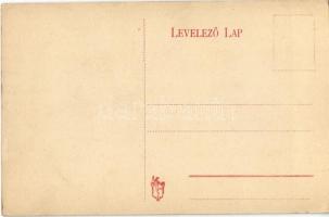 1911 Budapest XXII. Kistétény, Budatétény;  Popiel Dénes fogorvos kastélya és parkja, villa, saját k...