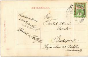 Erdőbénye-gyógyfürdő, fürdő lak. Klein József kiadása