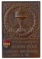 1933. "Budapest Sport Egyesület Br motorsport emlékplakett "AUTÓ MOTOR OSZTÁLY - BUDAY BÉLA B.KENESEI EMLÉKTURA 1933 X. 15." zománcozott BSE címerrel (41x60mm) T:2 patina