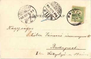 1905 Privigye, Prievidza; utca, Gubits Bernát könyvnyomdája és saját kiadása / street, book printing...