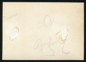 cca 1930 Kinszki Imre (1901-1945) budapesti fotóművész hagyatékából, jelzés nélküli, vintage fotó (Z...