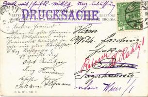 Wien, Vienna, Bécs; Der Alteste vom Graben 453. Der Waldbauer. Ew. Gnad'n wer'n eh wiss�...