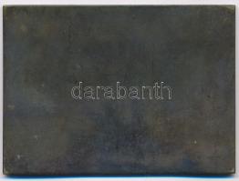 1934. "T.T.C. 1934.IV.15." Br motorsport emlékplakett (58x80mm) T:2-