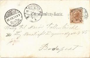 1898 Wien, Vienna, Bécs XIII. Hacking, Strasse / street, horse cart. Fr. Schöler