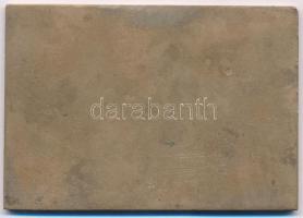 Berán Nándor (1889-1965.) 1933. "Kispesti Athlétikai Club" Br emlékplakett. "KISPESTI...