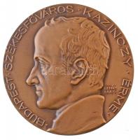 Berán Lajos (1882-1943) 1932. "BUDAPEST SZÉKESFŐVÁROS KAZINCZY ÉRME / A MAGYAR SZÉPIRODALOM KIVÁLÓ MŰVELŐINEK" kétoldalas Br plakett (72mm) T:1