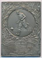 1918. Ipolysági F.C. emlékére 1918 XI. 13. Nemzeti Liga Ag emlékplakett HP beütéssel (42x57mm/52,12g) T:2