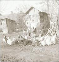 cca 1960 Mezőtúri gazdálkodó családokról készült felvételek, Tiszavölgyi József (1909-?) budapesti f...