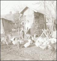 cca 1960 Mezőtúri gazdálkodó családokról készült felvételek, Tiszavölgyi József (1909-?) budapesti f...