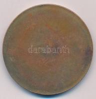 DN "XIV. Nemzetközi Taurus Rallye" Br emlékérem (50mm) T:2