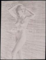 Szolidan erotikus felvételek különböző időpontokból, eltérő helyszíneken és több modell közreműködés...