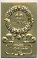 Berán Nándor (1889-1965.) 1929. aranyozott Br emlékplakett Királyi Magyar Automobil Club / X. SVÁBHEGYI VERSENY 1929 (35x52mm) T:2